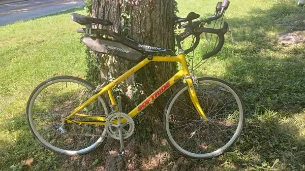 SoftRide Windshear Triathlon Bike, Carbon Beam, large, E.C