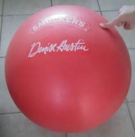 Stability Ball and Pump ( Denise Austin Brand )