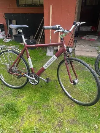 Novara Fusion large hybrid/commuter/road bike