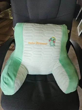Hello Dinosaur back support reading pillow