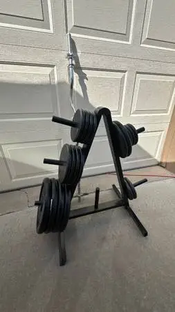 WEIGHTS AND CURL BAR PLUS RACK 200LBS TOTAL