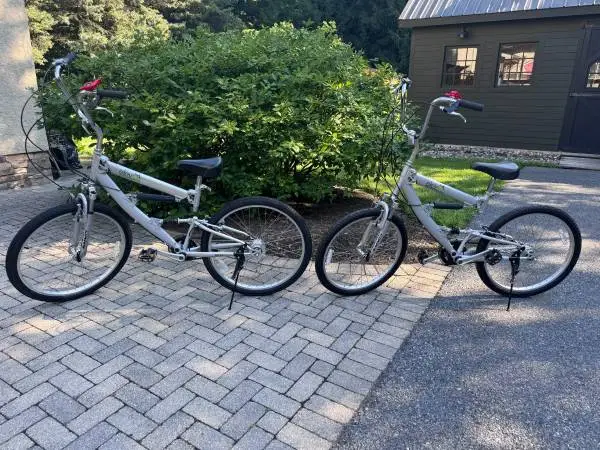 Beach Cruisers for sale