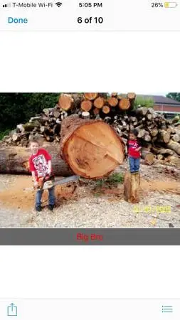Logs