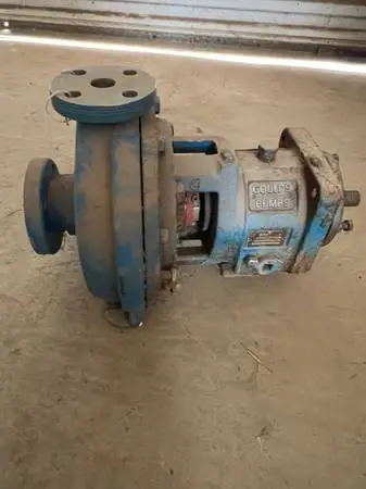 Goulds Stainless Steel Pump