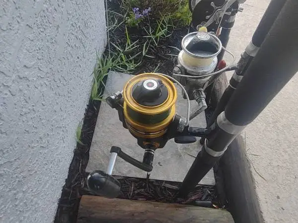 Penn rods and reels
