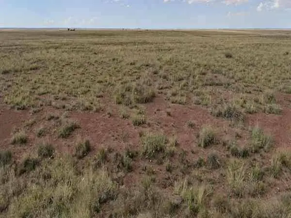 /mo, 1.25 Acres Near Holbrook AZ