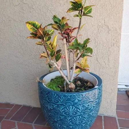 ESTATE SALE - Vintage Goodies and Treasures