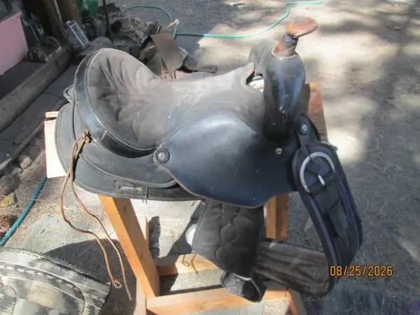 horse