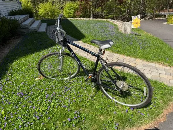 Womens REI ( Giant) Highbred Bike