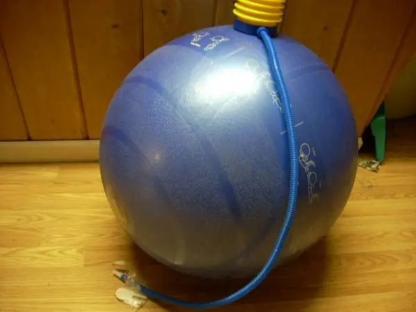 GoFit 55 cm pro ball
