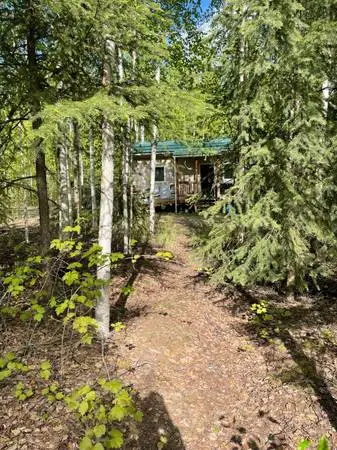 Goldstream cabin