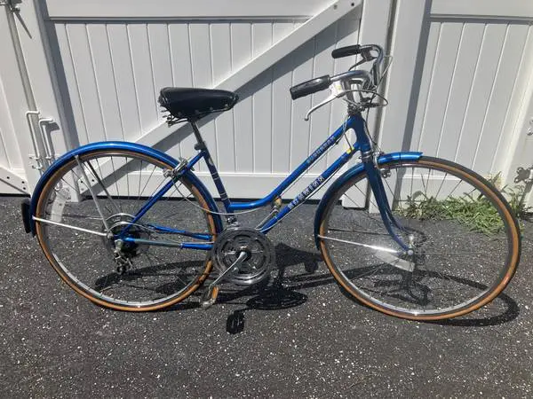 Vintage Cruiser Road Bike . Frame medium Delivery Possible?