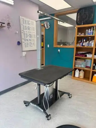 Viper Professional Electric Grooming Table