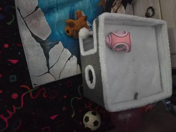 Pets stuff
