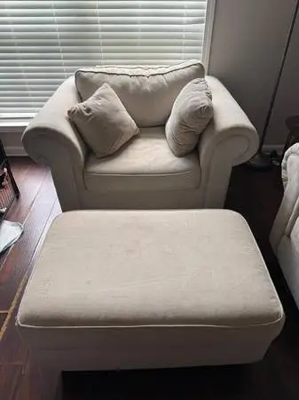 Professional Carpet and Upholstery Cleaning