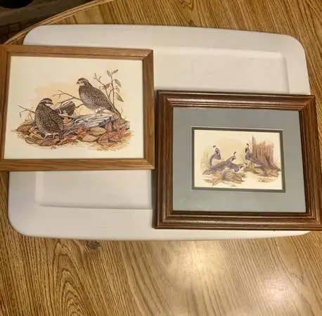 2  wood framed quail prints