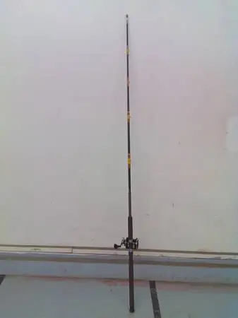 Daiwa Rod And Peen Reel (Halibut)