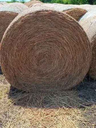 Hay Bale for sale 4X5