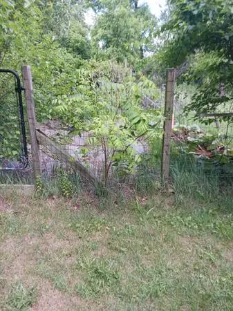 Free garden fence and treated posts you remove it