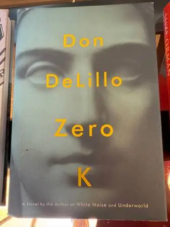 Don Dellilos -- Zero K