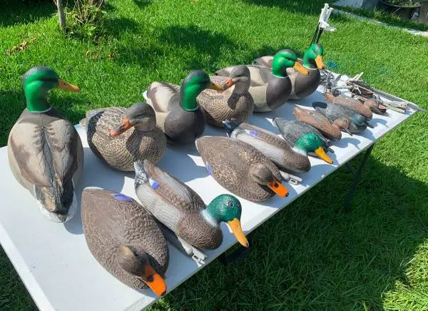 A set of outdoor duck hunting gears or decoy