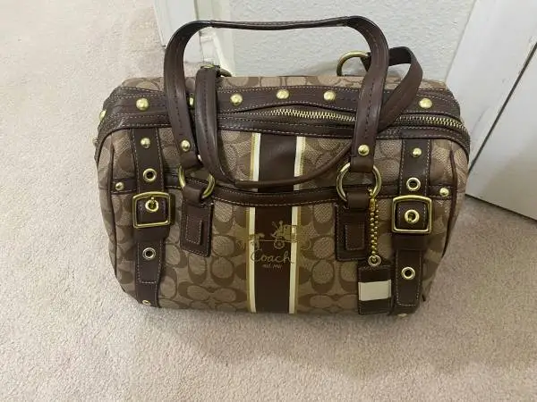 Brand name Brown Bag/purse