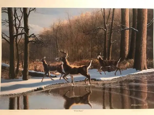 First Snow - Framed Wildlife Print