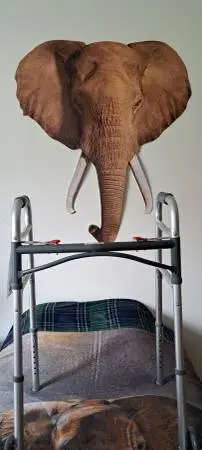 Fold up Walker