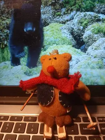 Vintage Plush Bear on Skies 3.1/2 Hand Made