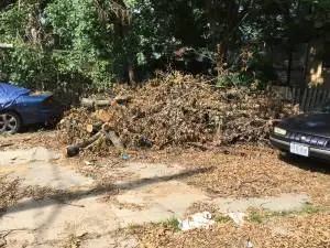 Brush Piles pick up we also cut up and storm damage