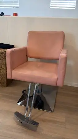 Salon Chair