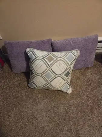 Couch throw pilows