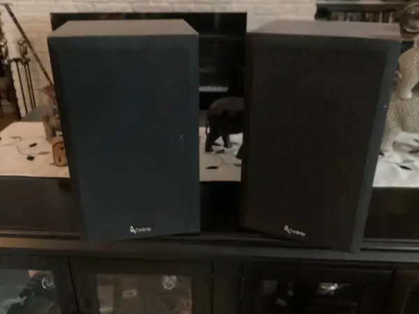 Infinity book end speakers