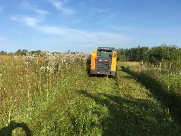 Skid steer for hire