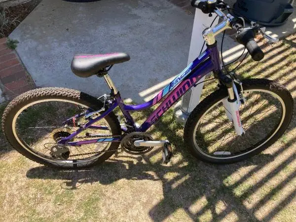 Schwinn Girls Bicycle for Sale