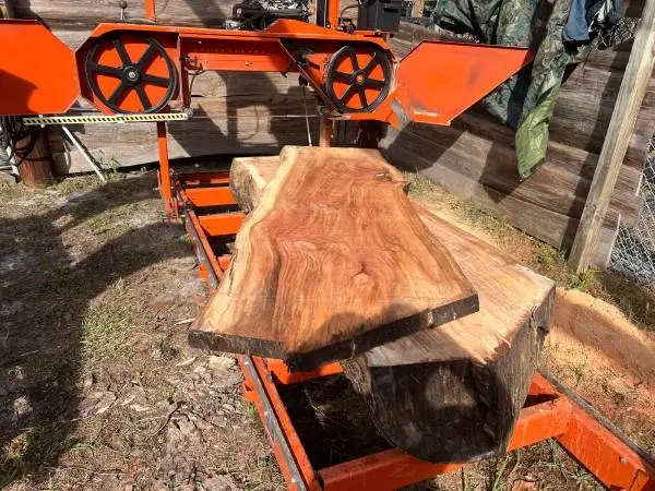 SLABS, Live Edge, many sizes, many species, desk. mantle.