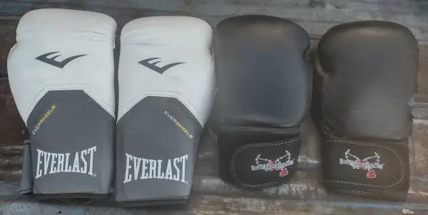 Everlast and Century Size M 12Oz Sparring Gloves