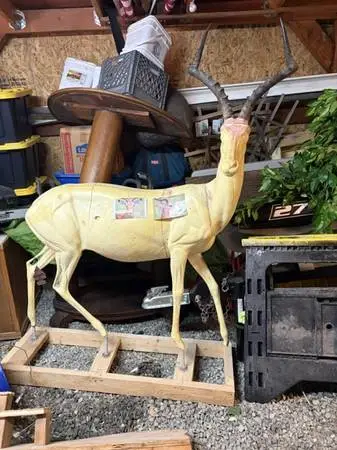 AFRICAN IMPALA
