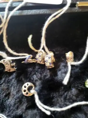 PANDORA CHARMS & BRACELET