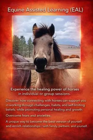 Equine Assisted Learning(EAL)& Life Coaching
