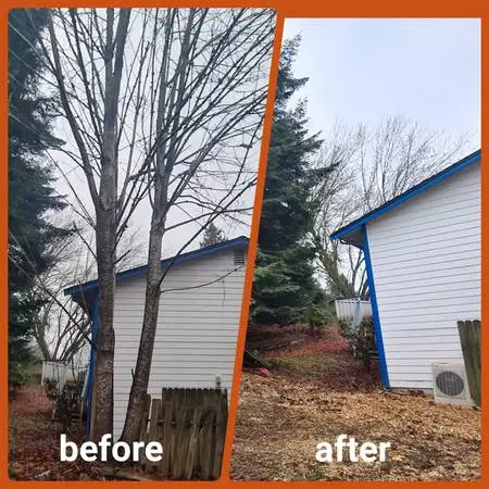 TREE REMOVAL • HAZARDOUS TREES • FREE ESTIMATES