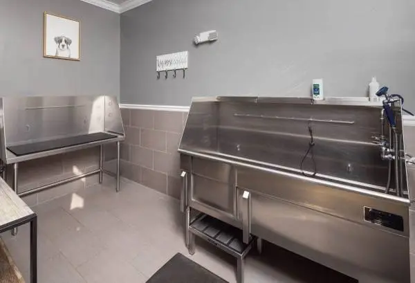 We have the perfect 2 bed 2 bath for you and your pets! Tour today!