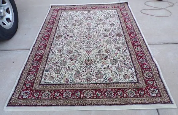 AREA RUGS - Clean and great condition - beginning at $50 each