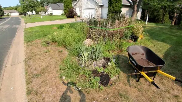 ROJAS lawn care llc, yard clean ups & weed removal sod planting.