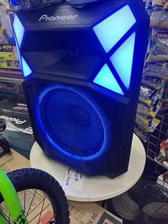 Pioneer 700 Watt Party Speaker