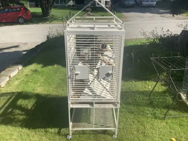 2 bird cages