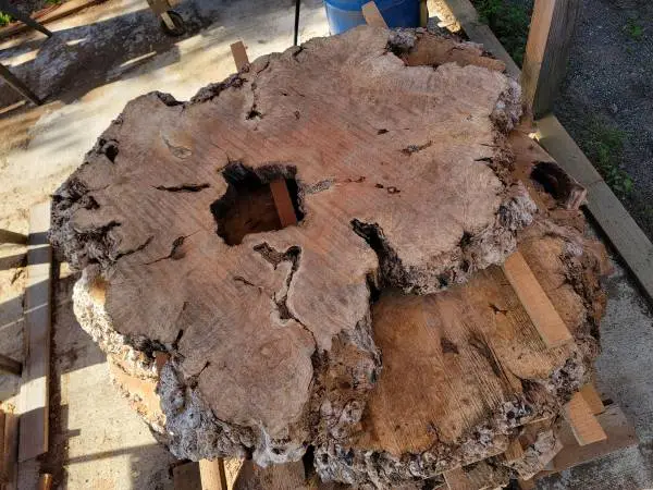 Natural Live Edge Maple Burl Wood Slab Dinning Coffee Table