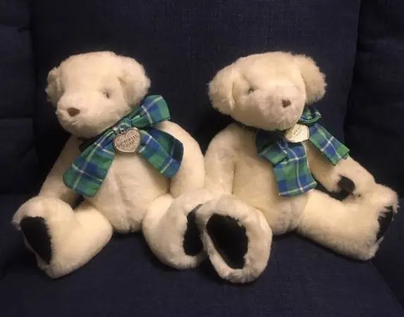 New Teddy Bears
