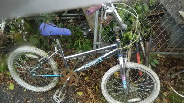NEXT 20 inch chrome bike