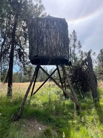 Hunting blind and feeder